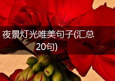 夜景灯光唯美句子(汇总20句)