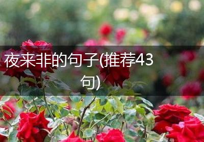 夜来非的句子(推荐43句)