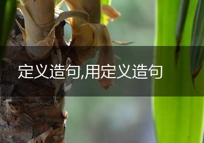 定义造句,用定义造句