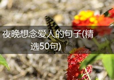 夜晚想念爱人的句子(精选50句)
