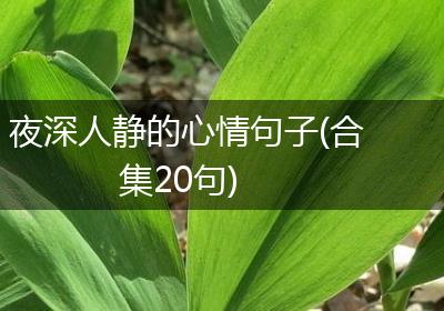 夜深人静的心情句子(合集20句)