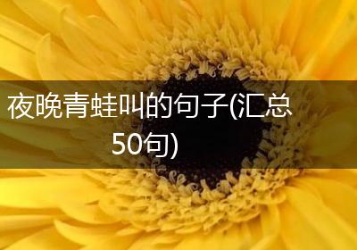 夜晚青蛙叫的句子(汇总50句)