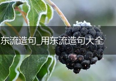东流造句_用东流造句大全