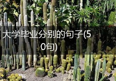 大学毕业分别的句子(50句)