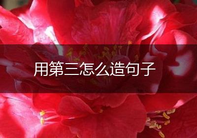 用第三怎么造句子