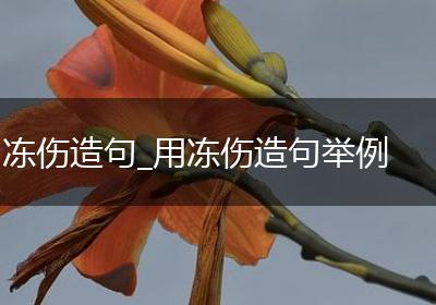冻伤造句_用冻伤造句举例