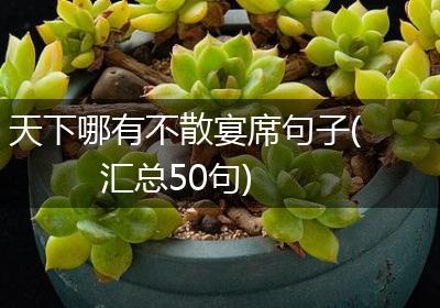 天下哪有不散宴席句子(汇总50句)