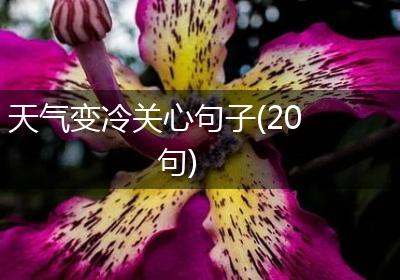 天气变冷关心句子(20句)
