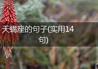天蝎座的句子(实用14句)