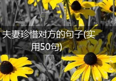 夫妻珍惜对方的句子(实用50句)