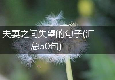 夫妻之间失望的句子(汇总50句)