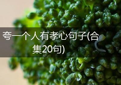 夸一个人有孝心句子(合集20句)
