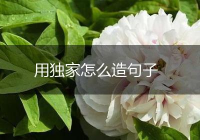 用独家怎么造句子