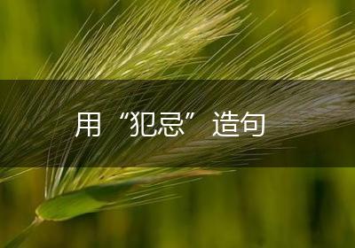用“犯忌”造句
