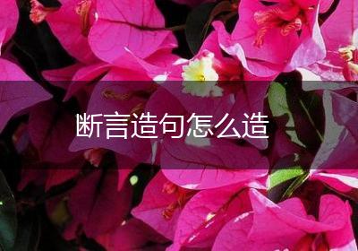 断言造句怎么造