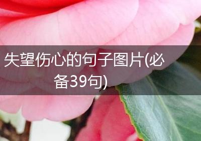 失望伤心的句子图片(必备39句)