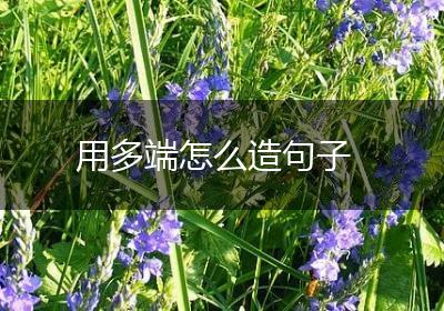 用多端怎么造句子