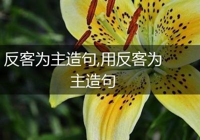 反客为主造句,用反客为主造句