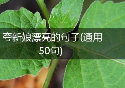 夸新娘漂亮的句子(通用50句)