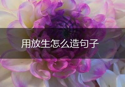 用放生怎么造句子