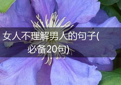 女人不理解男人的句子(必备20句)