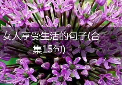 女人享受生活的句子(合集15句)