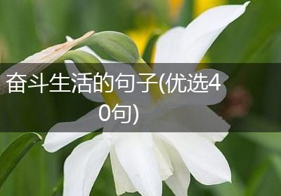 奋斗生活的句子(优选40句)