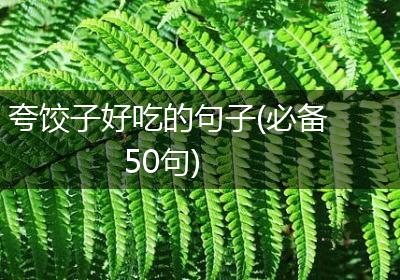 夸饺子好吃的句子(必备50句)