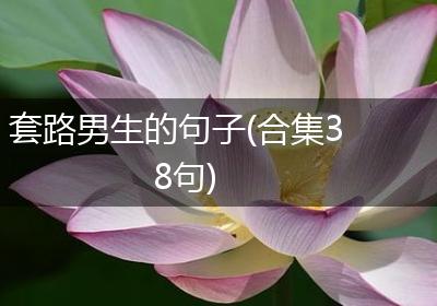 套路男生的句子(合集38句)