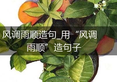 风调雨顺造句_用“风调雨顺”造句子