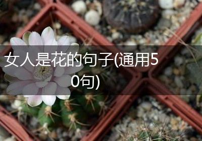 女人是花的句子(通用50句)