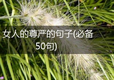 女人的尊严的句子(必备50句)