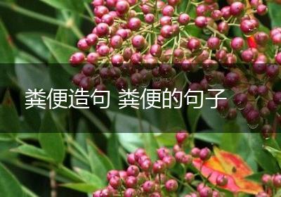 粪便造句 粪便的句子