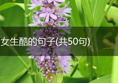 女生酷的句子(共50句)