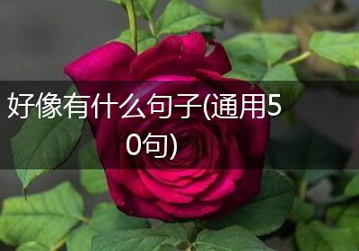 好像有什么句子(通用50句)