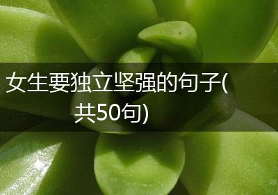 女生要独立坚强的句子(共50句)