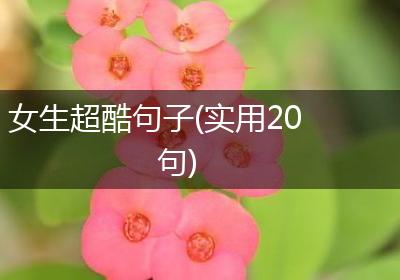 女生超酷句子(实用20句)