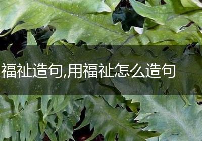 福祉造句,用福祉怎么造句