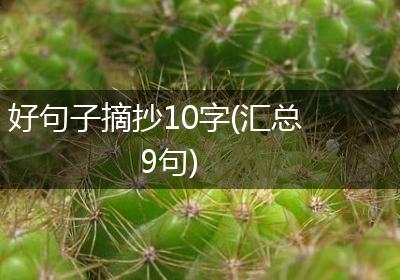好句子摘抄10字(汇总9句)