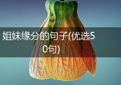 姐妹缘分的句子(优选50句)