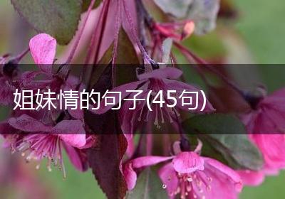 姐妹情的句子(45句)
