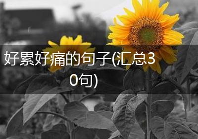 好累好痛的句子(汇总30句)