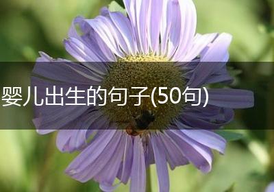 婴儿出生的句子(50句)