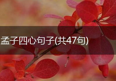 孟子四心句子(共47句)