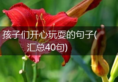 孩子们开心玩耍的句子(汇总40句)