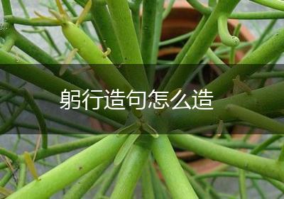 躬行造句怎么造