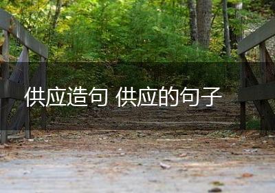 供应造句 供应的句子