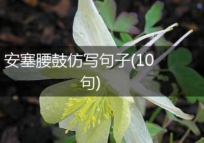安塞腰鼓仿写句子(10句)