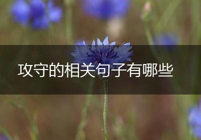 攻守的相关句子有哪些