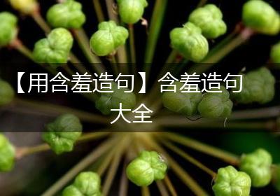 【用含羞造句】含羞造句大全